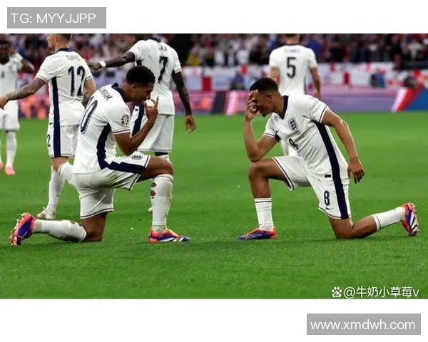 丹麦与法国精彩对决全场录像回顾及精彩瞬间分析